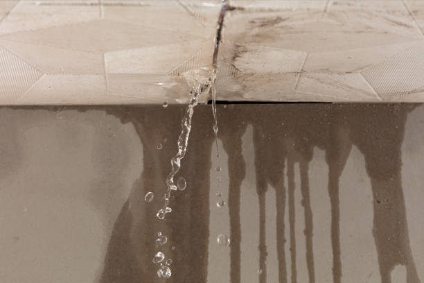 Professional Water Damage Repair technician working in Temple, TX